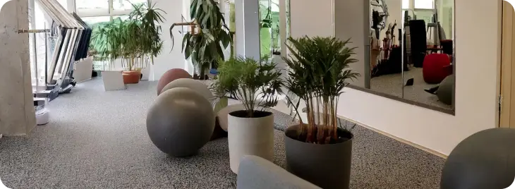 Decorative Quartz img  